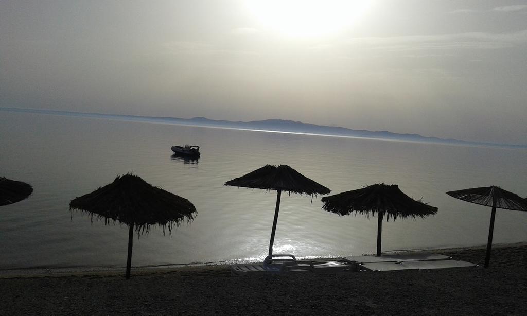 Paradise كريوبيجي المظهر الخارجي الصورة
