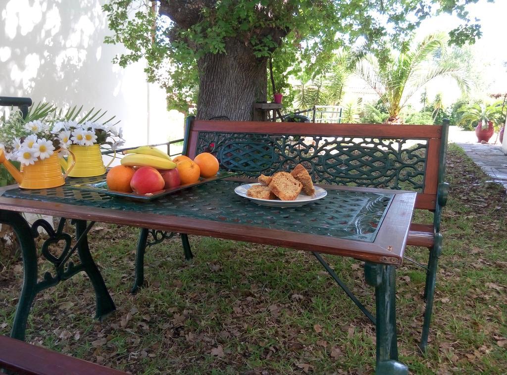 Paradise كريوبيجي المظهر الخارجي الصورة