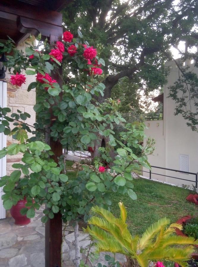 Paradise كريوبيجي المظهر الخارجي الصورة